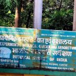 महिनाभरात पुण्यातील दुसऱ्या मालमत्ता प्रकरणावरून विरोधकांनी महायुती सरकारवर निशाणा साधला आहे. पुणे बातम्या