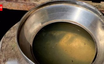 जीबीएसच्या उद्रेकाच्या एक वर्षानंतर, पीएमसी अजूनही प्रभावित भागात पाण्याची सुरक्षा आणि रुग्णालय सज्जतेमध्ये कमी आहे. पुणे बातम्या