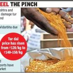 राज्यातील पिकांना थंडीचा फटका; कमी पुरवठ्यात किंमत वाढते | पुणे बातम्या