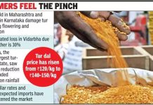 राज्यातील पिकांना थंडीचा फटका; कमी पुरवठ्यात किंमत वाढते | पुणे बातम्या
