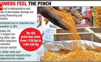 राज्यातील पिकांना थंडीचा फटका; कमी पुरवठ्यात किंमत वाढते | पुणे बातम्या