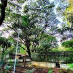 मुंढवा जमीन व्यवहार: अमाडियाने कागदपत्रांसाठी वेळ मागितल्यानंतर IGR पुढील सुनावणी 16 मार्च रोजी ठेवणार आहे