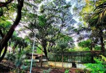 मुंढवा जमीन व्यवहार: अमाडियाने कागदपत्रांसाठी वेळ मागितल्यानंतर IGR पुढील सुनावणी 16 मार्च रोजी ठेवणार आहे