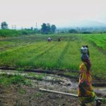 पुरंदर विमानतळ भूसंपादनासाठी MIDC 10 दिवसांत आर्थिक कर्ज देणार आहे