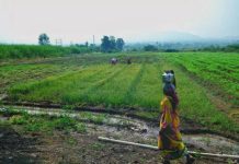 पुरंदर विमानतळ भूसंपादनासाठी MIDC 10 दिवसांत आर्थिक कर्ज देणार आहे