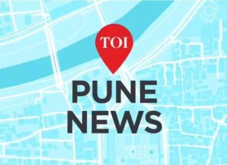 पाराच्या विषारीपणाशी संबंधित हर्बल पावडरमुळे पुण्यातील 9 वर्षांच्या मुलीमध्ये दुर्मिळ ब्रेन सिंड्रोम होतो.