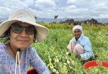 विंडोजिल ते शेत: शहरातील रहिवाशांचा वाढता प्रवास हा ग्रीन सिग्नल आहे