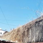 पुणे बनावट दारूच्या दुर्घटनेत सर्वाधिक बळी रोजंदारी कामगार होते; डॉक्टर गंभीर मिथेनॉल विषबाधा लक्षणांकडे निर्देश करतात