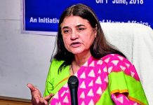 पुण्याला जाणारा पाळीव प्राणी लॅब्राडॉरचा रेल्वे प्रवासादरम्यान मृत्यू, मालकाचा रेल्वेच्या चुकांचा आणि शरीराची असंवेदनशील हाताळणीचा आरोप; अधिकारी आरोपांचे खंडन करतात