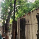 सामान्य चिंता पर्यावरणीय गटांना एका छत्राखाली आणतात